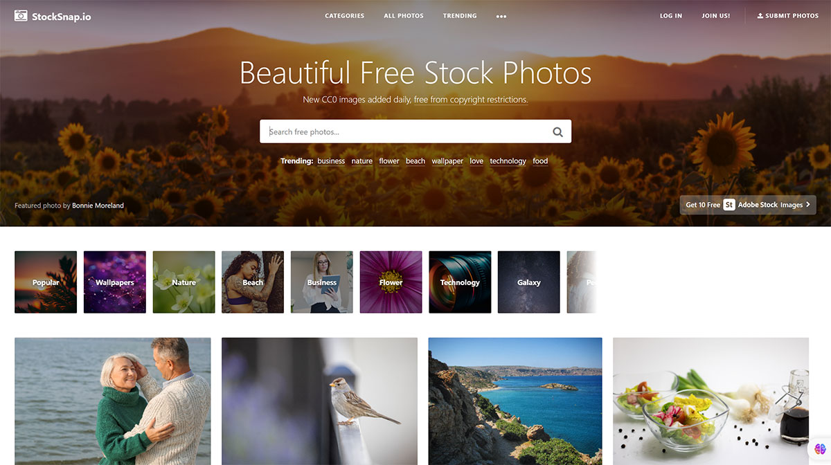 Free-Stock-Photos-and-Images---StockSnap.io---stocksnap.io.jpg