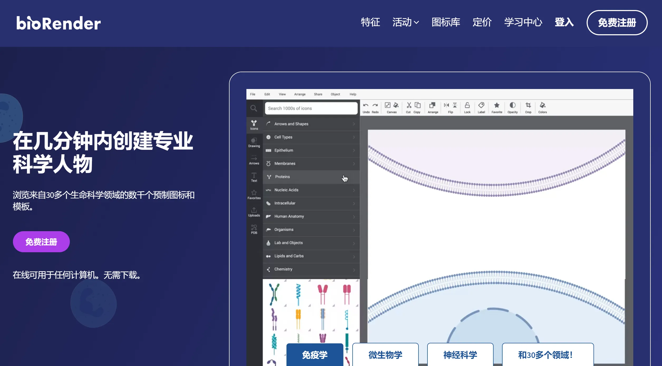 BioRender.webp
