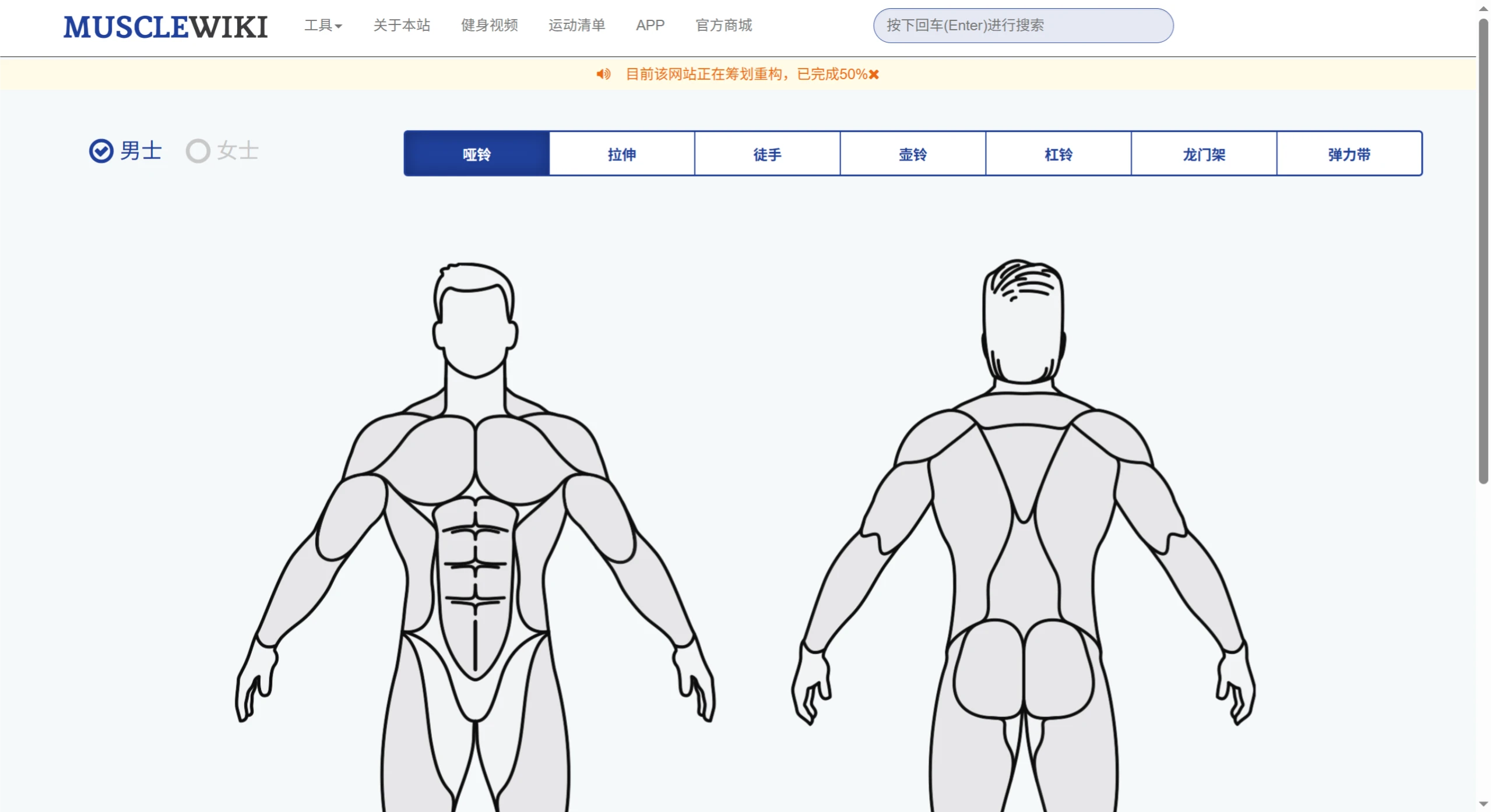 MuscleWiki中文版界面