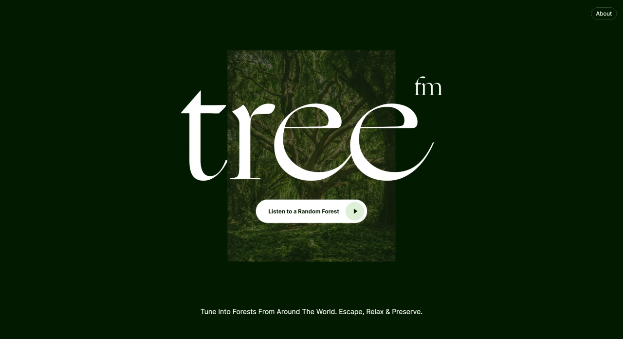 森林电台Tree.fm(图1) 33ab9d6d-f1f8-4dd1-b1ae-af37e0d52814.webp