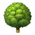 森林电台Tree.FM