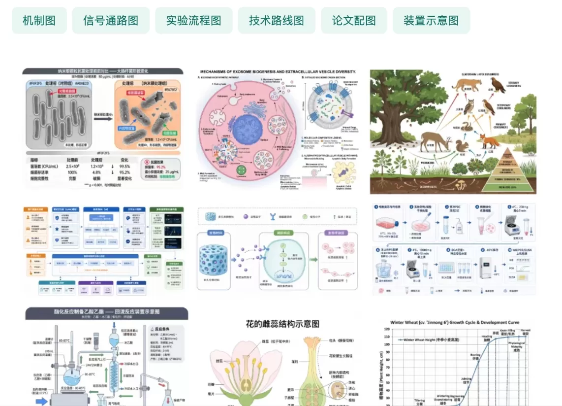 PicDoc都能生成什么图 PicDoc都能生成什么图